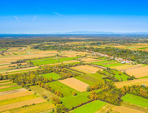 ხორვატიის აგროსექტორი: გამოწვევები და გადაწყვეტები